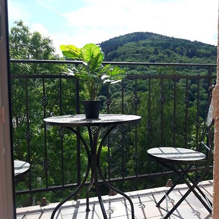 Apartmany Marie Jachymov Bagian luar foto