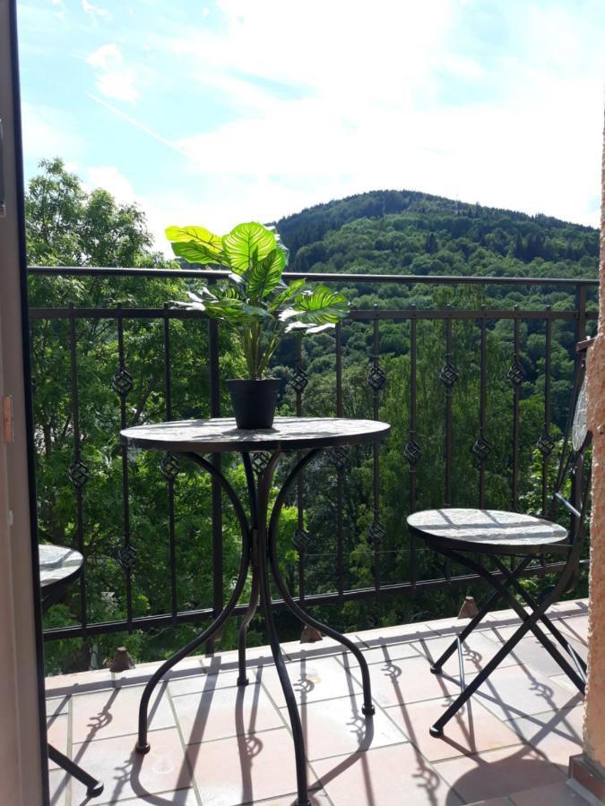 Apartmany Marie Jachymov Bagian luar foto