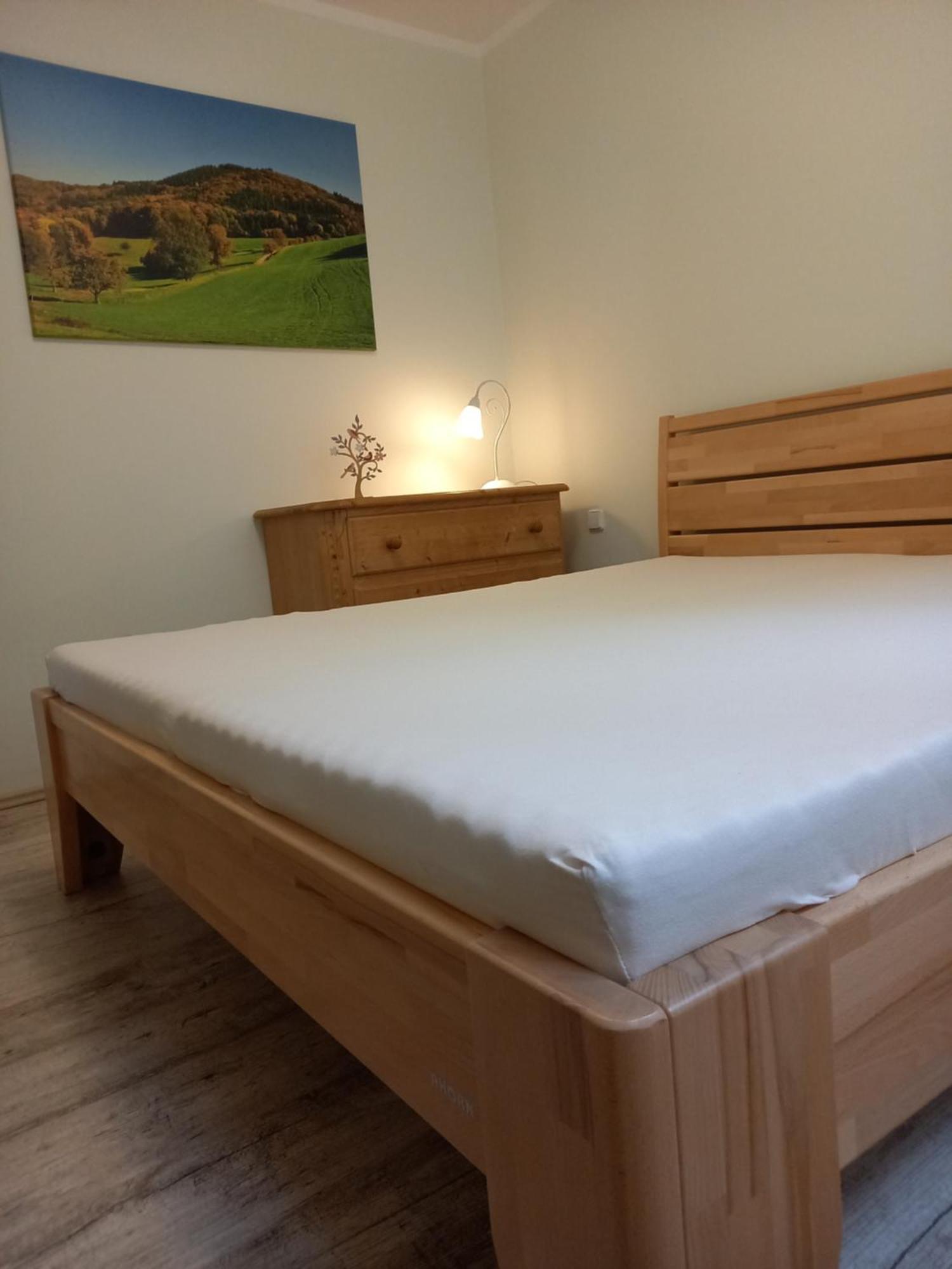Apartmany Marie Jachymov Bagian luar foto